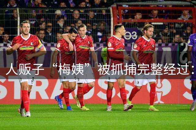 人贩子“梅姨”被抓捕完整经过：持有“谢家梅”和“谢丽珍”双重身份，去年12月落网，未出现拒捕、逃脱等情形，曾因重婚罪被判一年半
